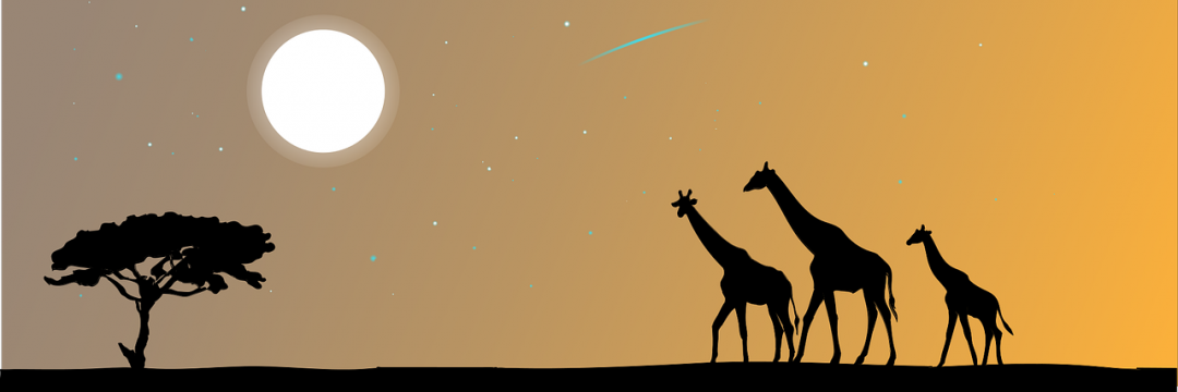 giraffe, animal, the silhouette-2257780.jpg