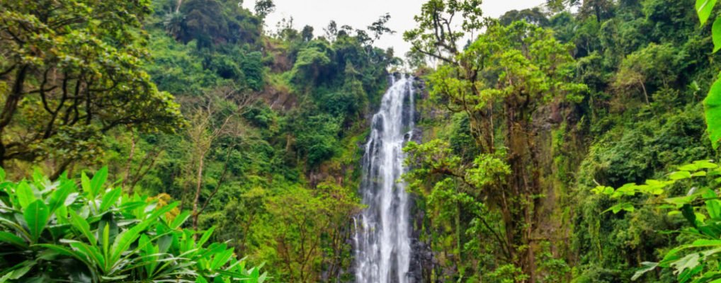 View of Materuni waterfall on the foot of the Kilimanjaro mountain in Tanzania